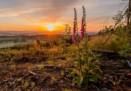 Reiseziele und Landschaften der Urlaubs- und Freizeitregion Teutoburger Wald ...
